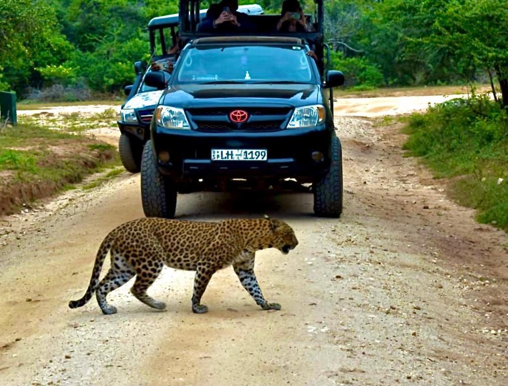 Yala Safari Village Thissamaharama Maha Akurugoda Bagian luar foto